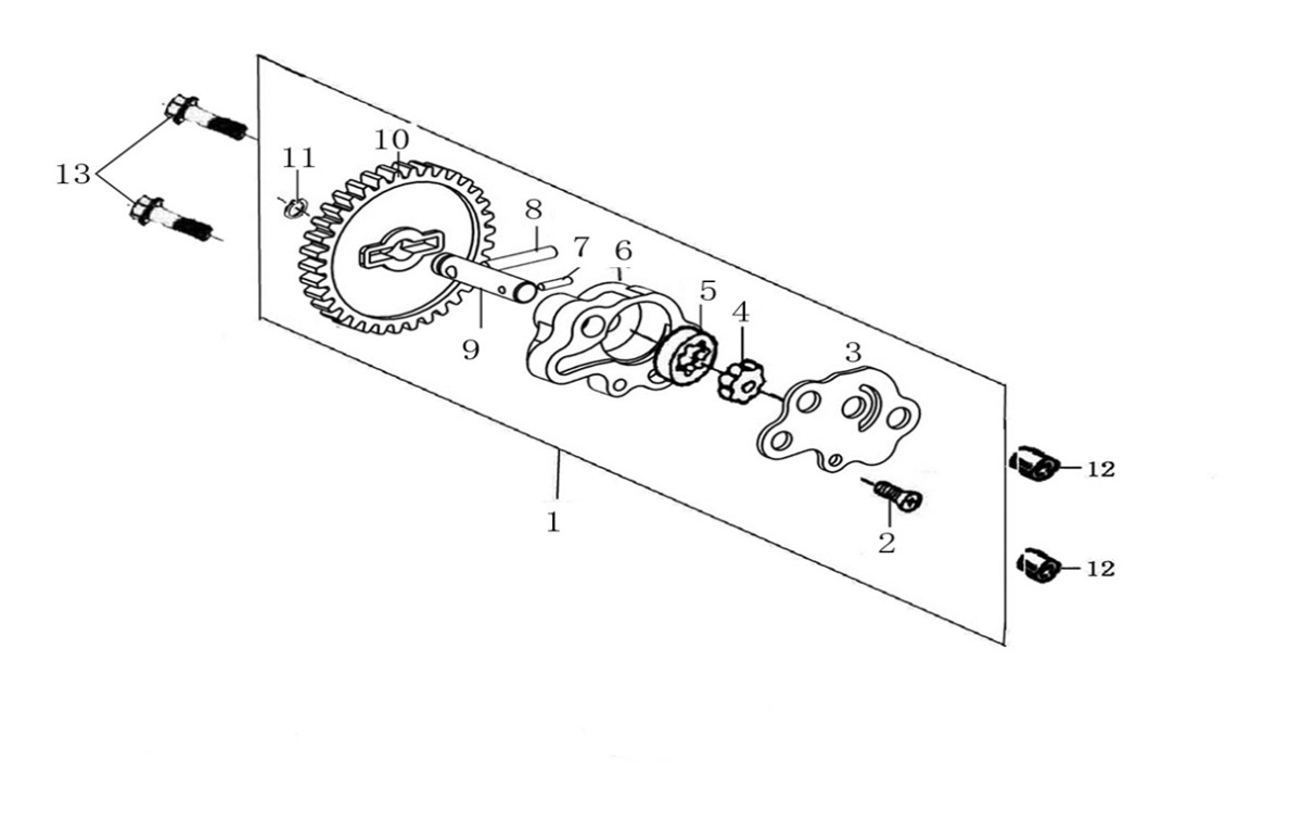 BSD7QtQTFM_5-lamina-bomba-oli-60adf2723f0ee.jpg