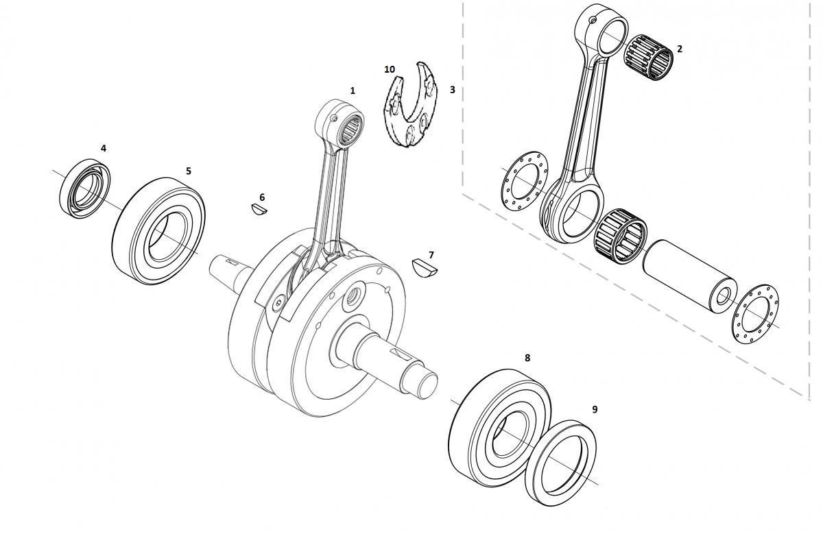 TLK9MEJLQn_lamina-ciguenal-626052a6647f0.jpg
