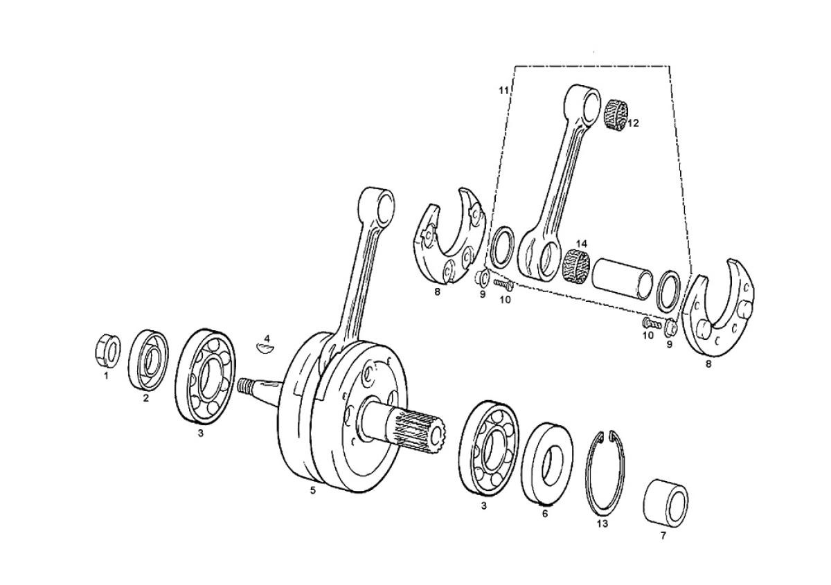 imTshFxfz3_ciguenal-125-2cjjwpu51jjzgd2bq.jpg