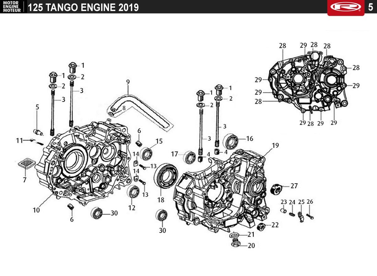 pBgiimICgy_lamina5-5d07631fe97c4.jpg